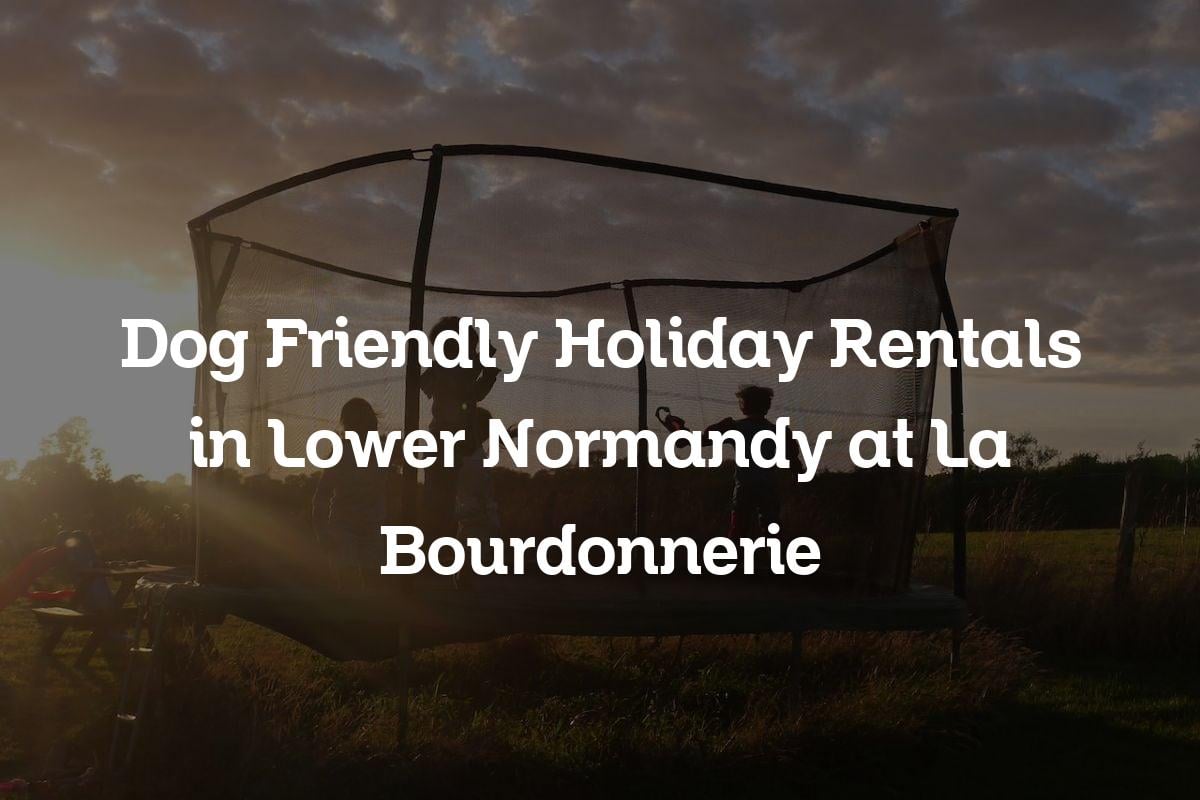 dog friendly holiday rentals in Lower Normandy