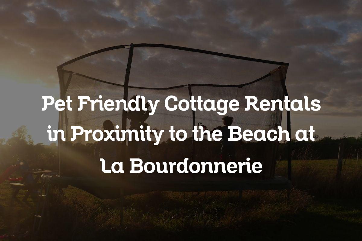 pet friendly cottage rentals in proximity to the beach