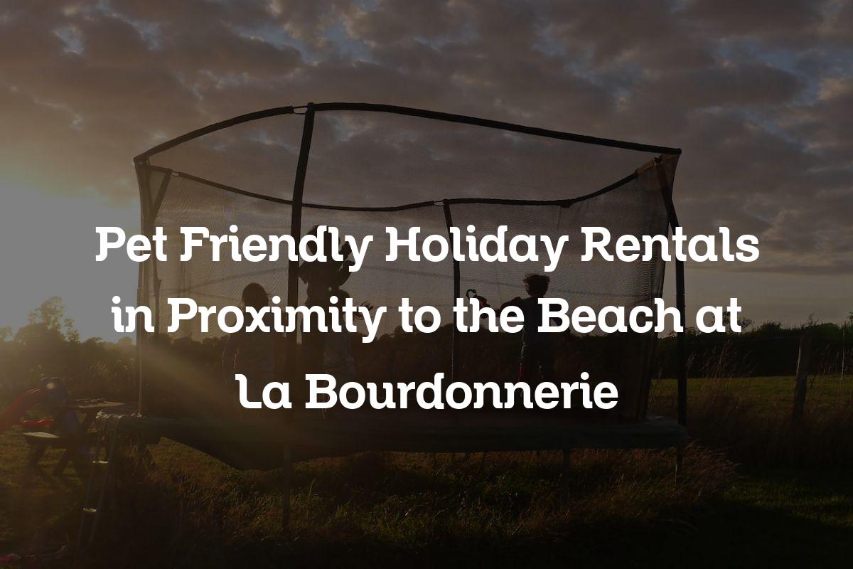 pet friendly holiday rentals in proximity to the beach