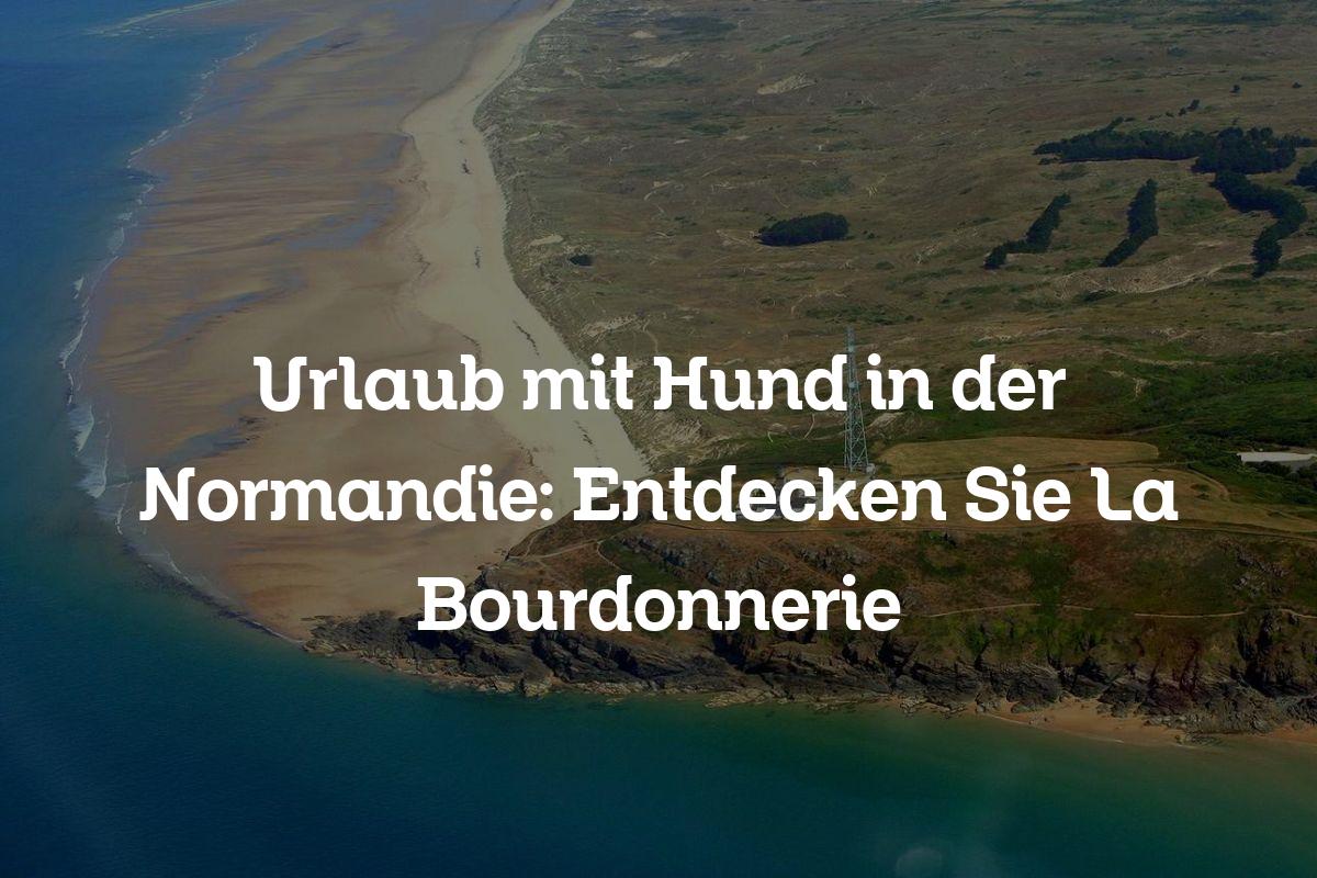 Urlaub mit Hund in der Normandie