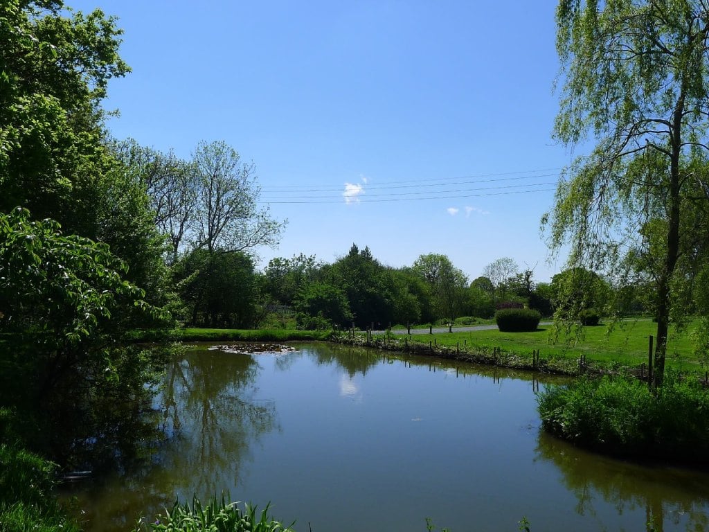 La_Bourdonnerie_etang (1)